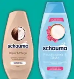 E-Center Schwarzkopf Schauma Shampoo Angebot