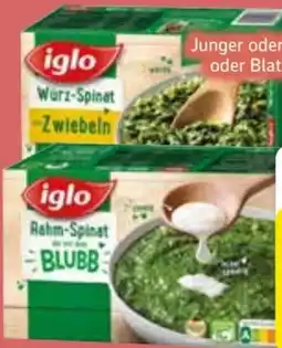 Edeka Iglo Würz-Spinat Angebot