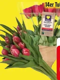 Edeka Edeka Herzstücke Lieblingsrosen Angebot