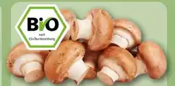 REWE Center Rewe Bio Champignons Angebot