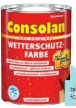 Hellweg Consolan Wetterschutz-Farbe Angebot