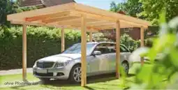 Hellweg Carport Lärche Angebot