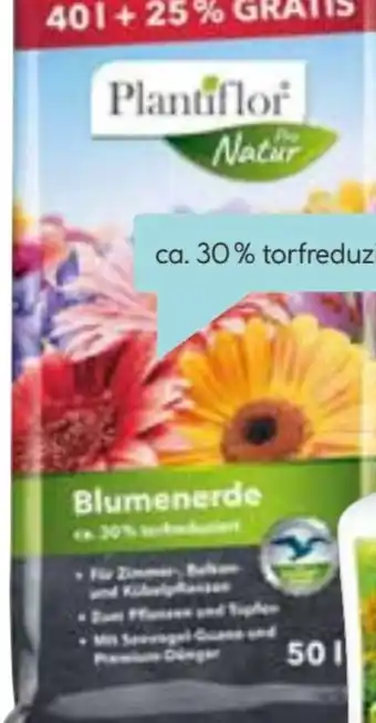 Hellweg Plantiflor Blumenerde Angebot