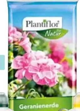 Hellweg Plantiflor Geranienerde Angebot