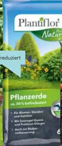 Hellweg Plantiflor Pflanzerde Angebot