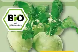 REWE Rewe Bio Kohlrabi Angebot