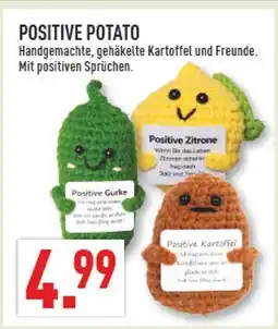 Marktkauf Positive potato positive kartoffel Angebot