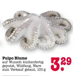 E-Center Pulpo blume Angebot