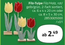 ROLLER Filz-tulpe Angebot