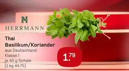 boni Center Herrmann thai basilikum/koriander Angebot