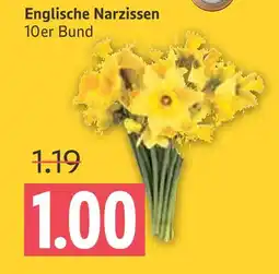 Marktkauf Englische narzissen Angebot