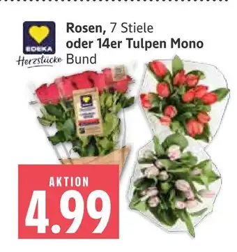 Marktkauf Edeka rosen Angebot