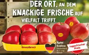 Netto Marken-Discount Äpfel evelina Angebot