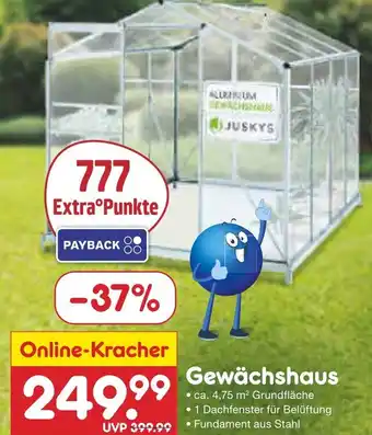 Netto Marken-Discount Juskys gewächshaus Angebot