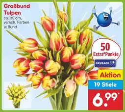 Netto Marken-Discount Großbund tulpen Angebot