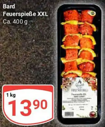 Globus Bard Feuerspieẞe XXL Angebot