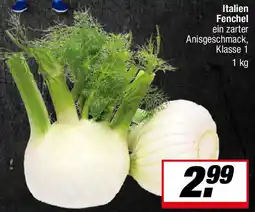 L. STROETMANN GROSSMARKT Italien Fenchel Angebot