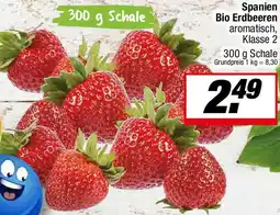 L. STROETMANN GROSSMARKT Spanien Bio Erdbeeren Angebot