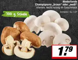 L. STROETMANN GROSSMARKT Niederlande Champignons ,,braun" oder weiẞ Angebot