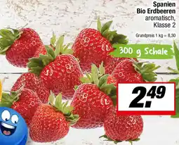 L. STROETMANN GROSSMARKT Spanien Bio Erdbeeren Angebot