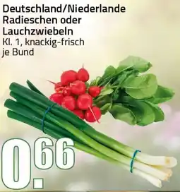 Ihr Frischmarkt Deutschland/Niederlande Radieschen oder Lauchzwiebeln Angebot