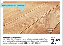 Hellweg Douglasie-terrassendiele Angebot