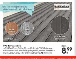 Hellweg Hartmann holz wpc-terrassendiele Angebot