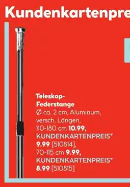 Hellweg Teleskop-federstange Angebot