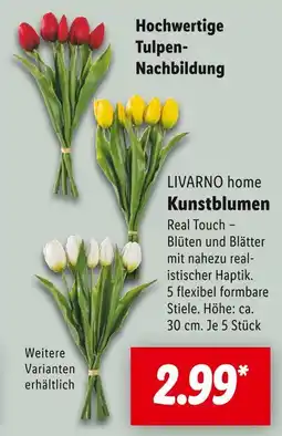 Lidl Livarno home kunstblumen Angebot