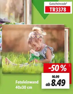 Lidl Fotoleinwand Angebot