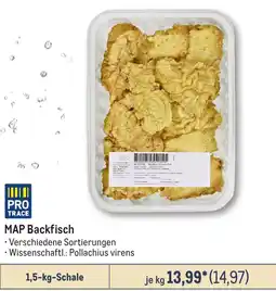 METRO MAP Backfisch Angebot