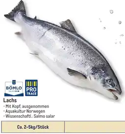 METRO BÖMLO Lachs Angebot