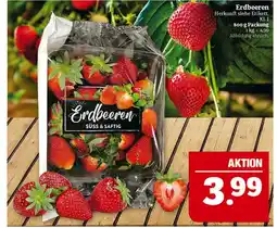 Marktkauf Erdbeeren Angebot