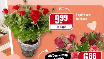 REWE Topfrosen im Korb Angebot