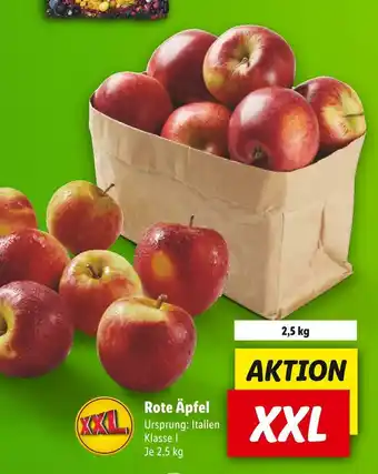 Lidl Aktion xxl Angebot