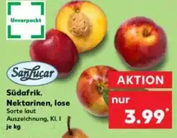 Kaufland Sanfucar Südafrik. Nektarinen, lose Angebot