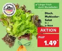 Kaufland Dtsch. Multicolor- Salat Angebot