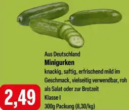 Feneberg Minigurken Angebot