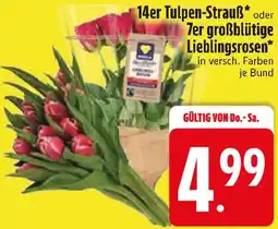 Edeka 14er Tulpen-Strauß oder 7er großblütige Lieblingsrosen Angebot