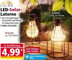 Norma I-GLOW LED-Solar Laterne Angebot