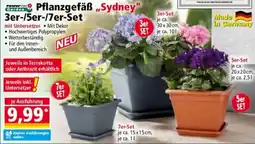 Norma Powertec Garden Pflanzgefäß „Sydney" Angebot