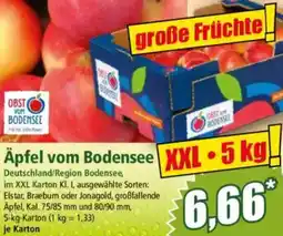 Norma Äpfel vom Bodensee Angebot