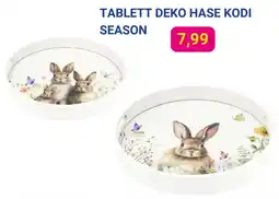 KODi Tablett deko hase kodi season Angebot