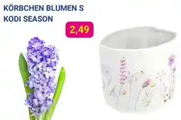 KODi Körbchen blumen s kodi season Angebot