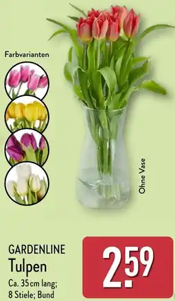 Aldi Nord GARDENLINE Tulpen Angebot