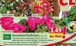 Norma FINEST Garden Geranien/Fuchsien Angebot