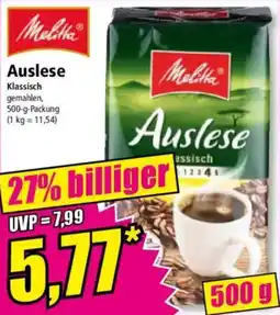 Norma Melitta Auslese Angebot