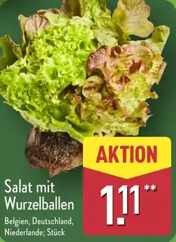 Aldi Nord Salat mit Wurzelballen Angebot