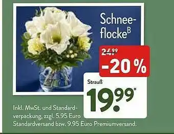 Aldi Nord Schneeflocke Angebot