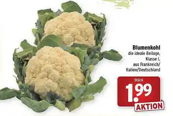 Wasgau Blumenkohl Angebot